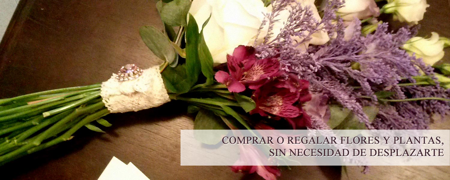 FLORISTERIA OVIEDO floristeria oviedo: