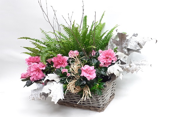 CESTA CON AZALEAS Y HELECHOS